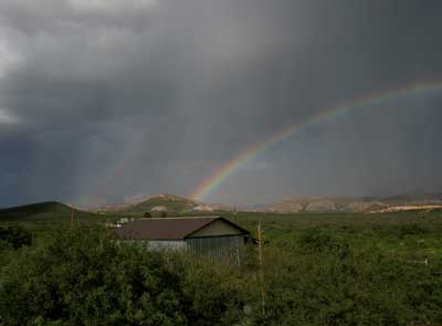 Rainbow